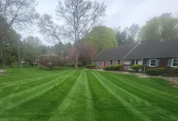 lawn