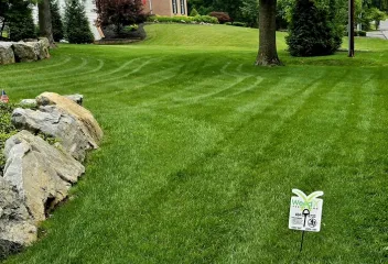 lawn