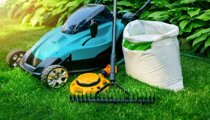 Give Your Lawn The Care It Deserves