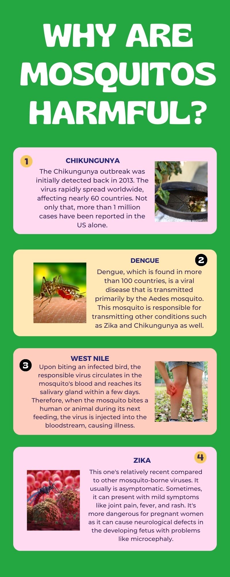 Why Are Mosquitos Harmful?