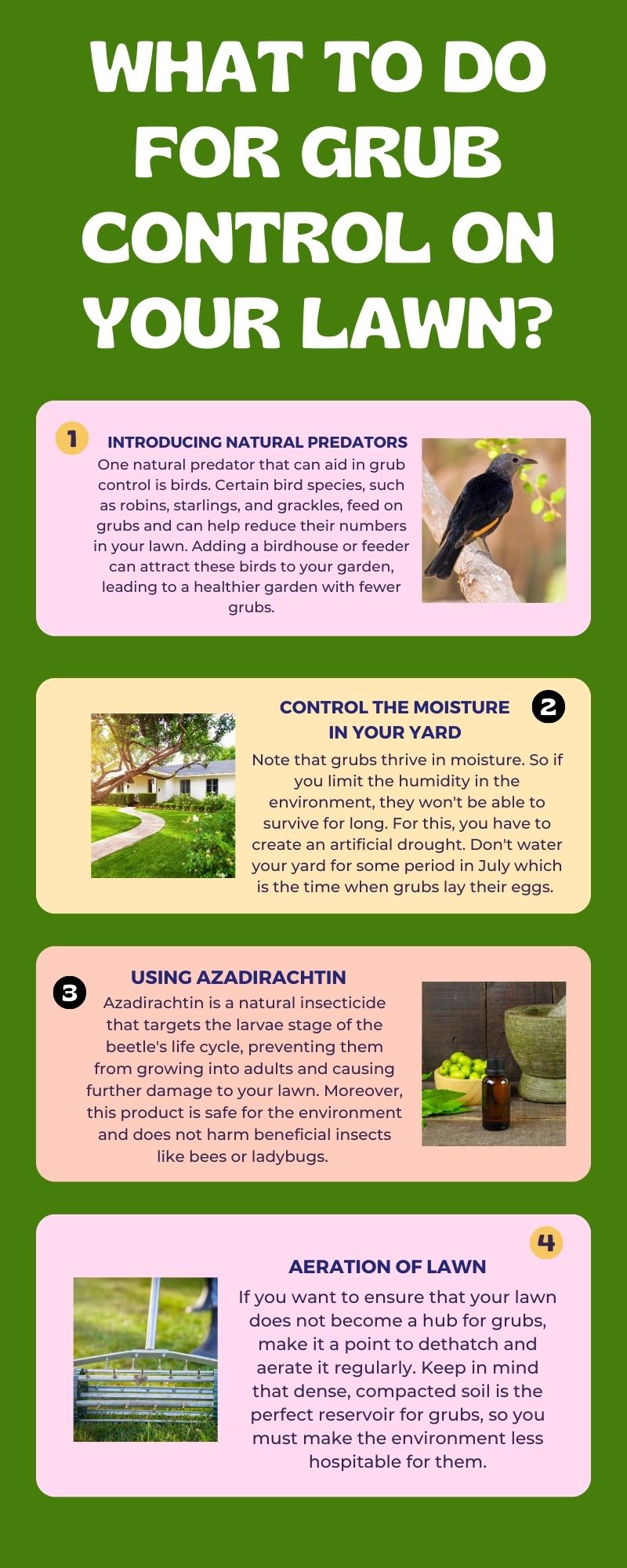 What To Do For Grub Control On Your Lawn?