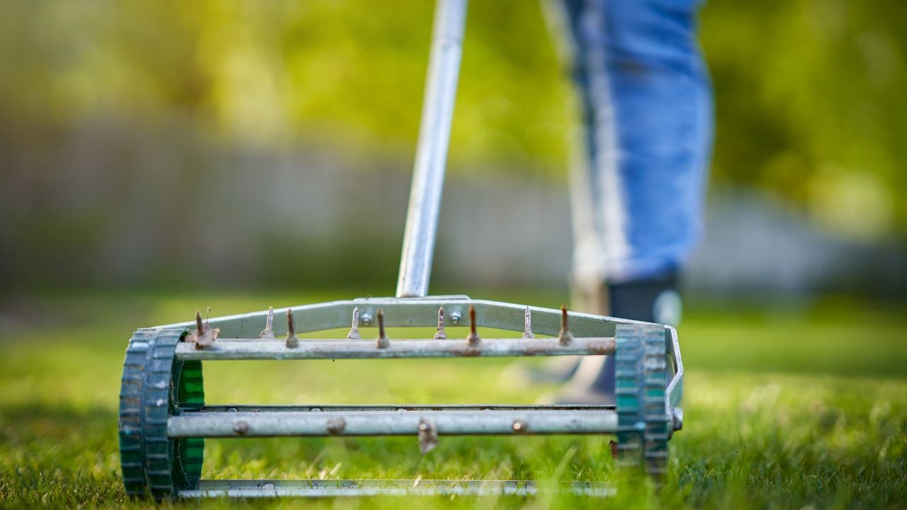 Why You Must Aerate Your Lawn