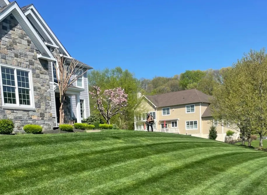 lawn care treatment Downingtown PA